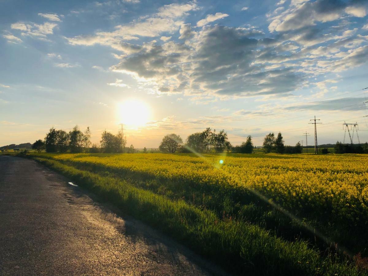Nibylandia Dom Pod Lasem Nowa Wies Grodziska Buitenkant foto