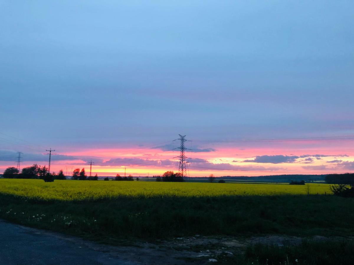Nibylandia Dom Pod Lasem Nowa Wies Grodziska Buitenkant foto