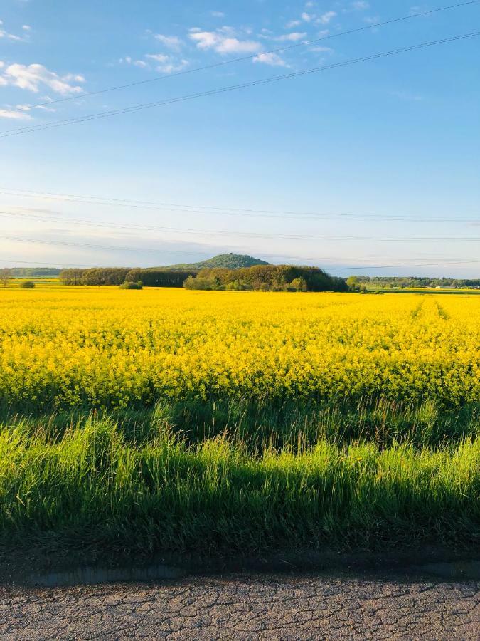 Nibylandia Dom Pod Lasem Nowa Wies Grodziska Buitenkant foto